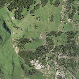 Satellite imagery of Whaikahawai Point, NZ