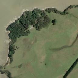 Satellite imagery of Ruaaweke Point, NZ