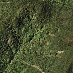 Satellite imagery of PUKETOETOE NO 2, NZ
