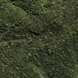 Satellite imagery of 7091, NZ