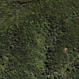 Satellite imagery of 7091, NZ
