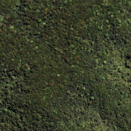 Satellite imagery of 7091, NZ