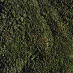 Satellite imagery of 7171, NZ