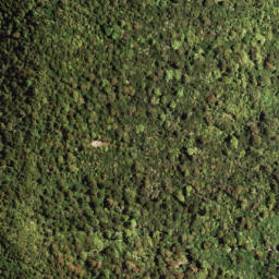 Satellite imagery of 7171, NZ