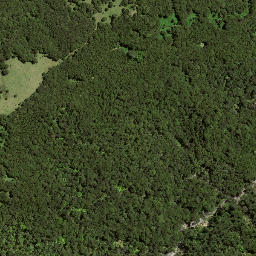 Satellite imagery of 7194, NZ