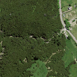 Satellite imagery of 7194, NZ