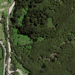 Satellite imagery of 7194, NZ