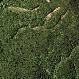 Satellite imagery of PUKETOETOE NO 2, NZ