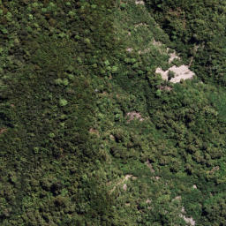 Satellite imagery of 7091, NZ
