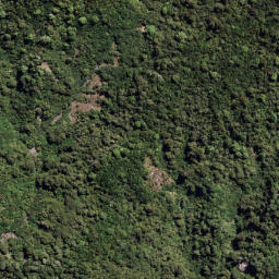 Satellite imagery of 7091, NZ