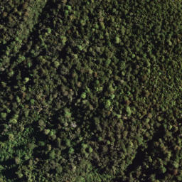 Satellite imagery of 7171, NZ