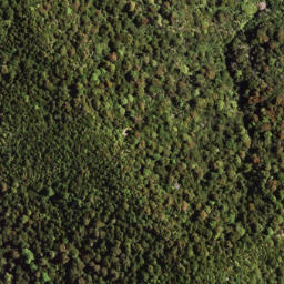Satellite imagery of 7171, NZ