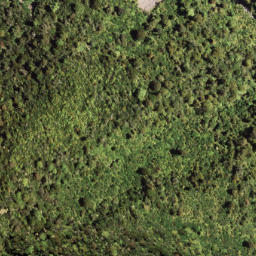 Satellite imagery of 7171, NZ