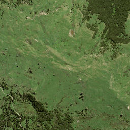 Satellite imagery of 7196, NZ