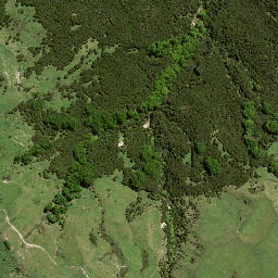 Satellite imagery of 7196, NZ