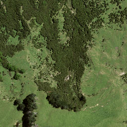 Satellite imagery of 7196, NZ