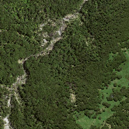 Satellite imagery of 7194, NZ