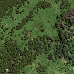Satellite imagery of 7194, NZ