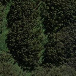 Satellite imagery of Grey Horse, AU