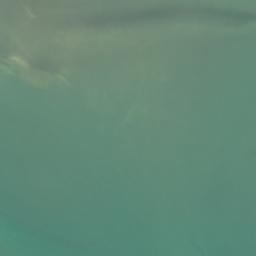 Satellite imagery of Potahi Point, NZ