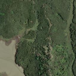 Satellite imagery of Te Ruatangata Point, NZ