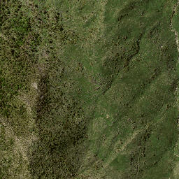 Satellite imagery of 7182, NZ