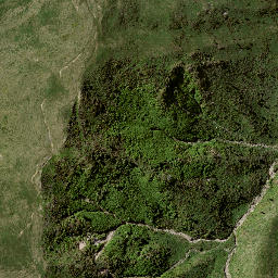Satellite imagery of 7182, NZ