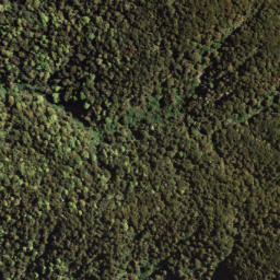Satellite imagery of KAPUA NO 2, NZ