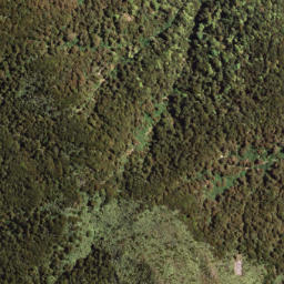 Satellite imagery of KAPUA NO 2, NZ