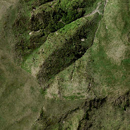 Satellite imagery of 7182, NZ
