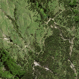 Satellite imagery of 7196, NZ