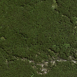 Satellite imagery of 187 TOKIAMEHA, NZ