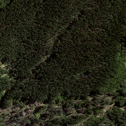 Satellite imagery of 8031, NZ