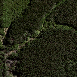 Satellite imagery of 8031, NZ