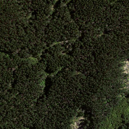 Satellite imagery of 8031, NZ