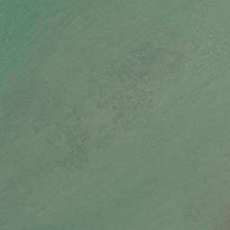 Satellite imagery of Te Ruangarara Point, NZ
