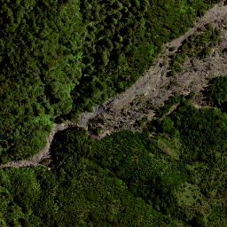 Satellite imagery of 8021, NZ