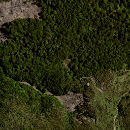 Satellite imagery of 8021, NZ