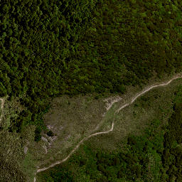 Satellite imagery of 8021, NZ