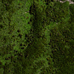 Satellite imagery of 8025, NZ