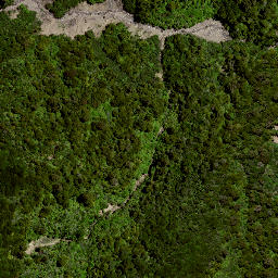 Satellite imagery of 8025, NZ