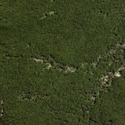 Satellite imagery of 187 TOKIAMEHA, NZ