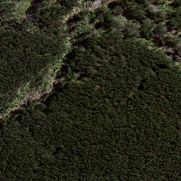 Satellite imagery of 8031, NZ