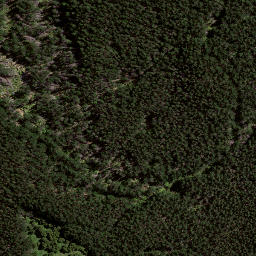 Satellite imagery of 8031, NZ