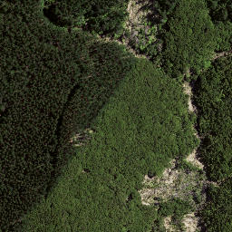 Satellite imagery of 8031, NZ