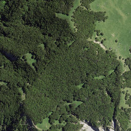 Satellite imagery of Matahau Point, NZ