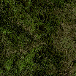Satellite imagery of 8021, NZ