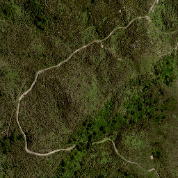 Satellite imagery of 8021, NZ