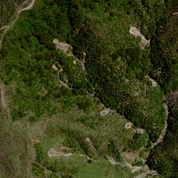 Satellite imagery of 8021, NZ