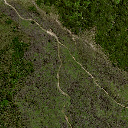 Satellite imagery of 8025, NZ